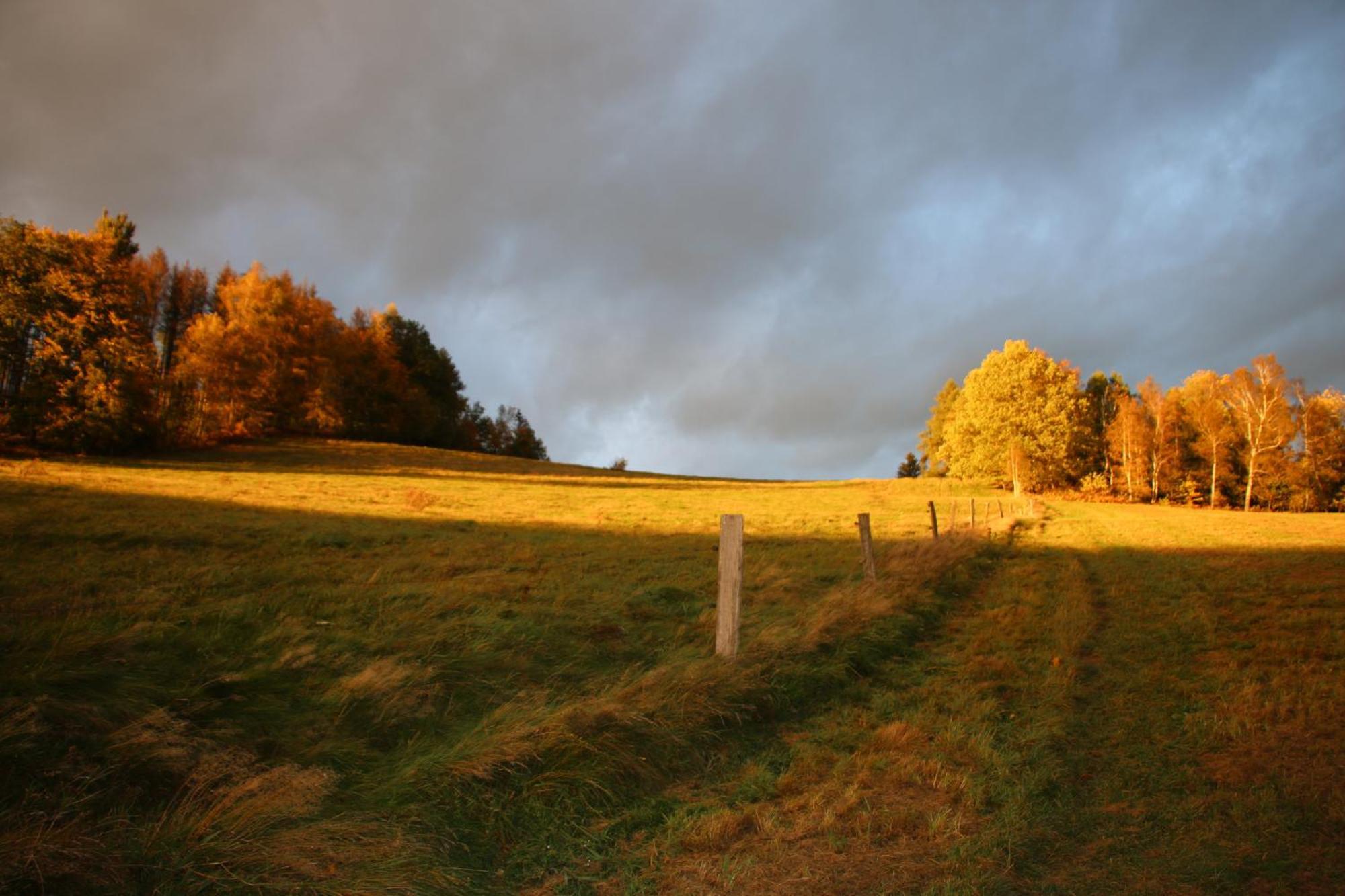 Gasthaus "Zum Wanderstuebel" Hinterhermsdorf Eksteriør bilde